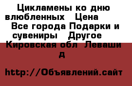 Цикламены ко дню влюбленных › Цена ­ 180 - Все города Подарки и сувениры » Другое   . Кировская обл.,Леваши д.